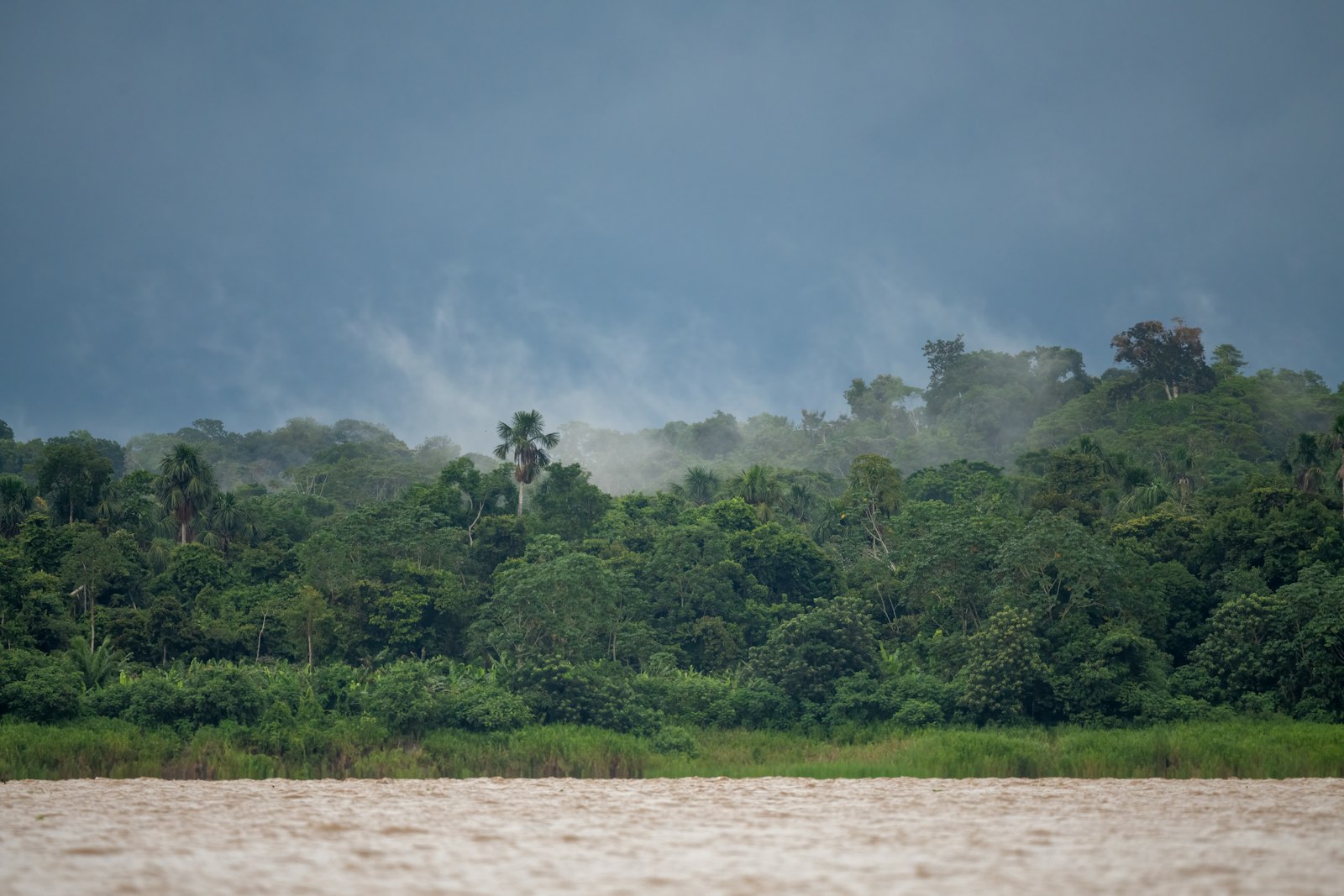 Mist rising off the Amazon rainforest canopy above the river, Peru