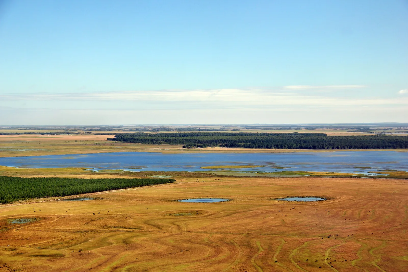 Aerial view of lagoons and open grasslands in the Iberá Wetlands