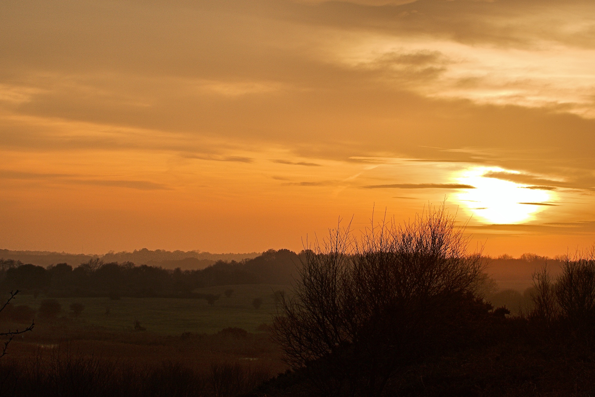 Sunset over the reedbeds and heath at RSPB Minsmere on the Suffolk coast, England