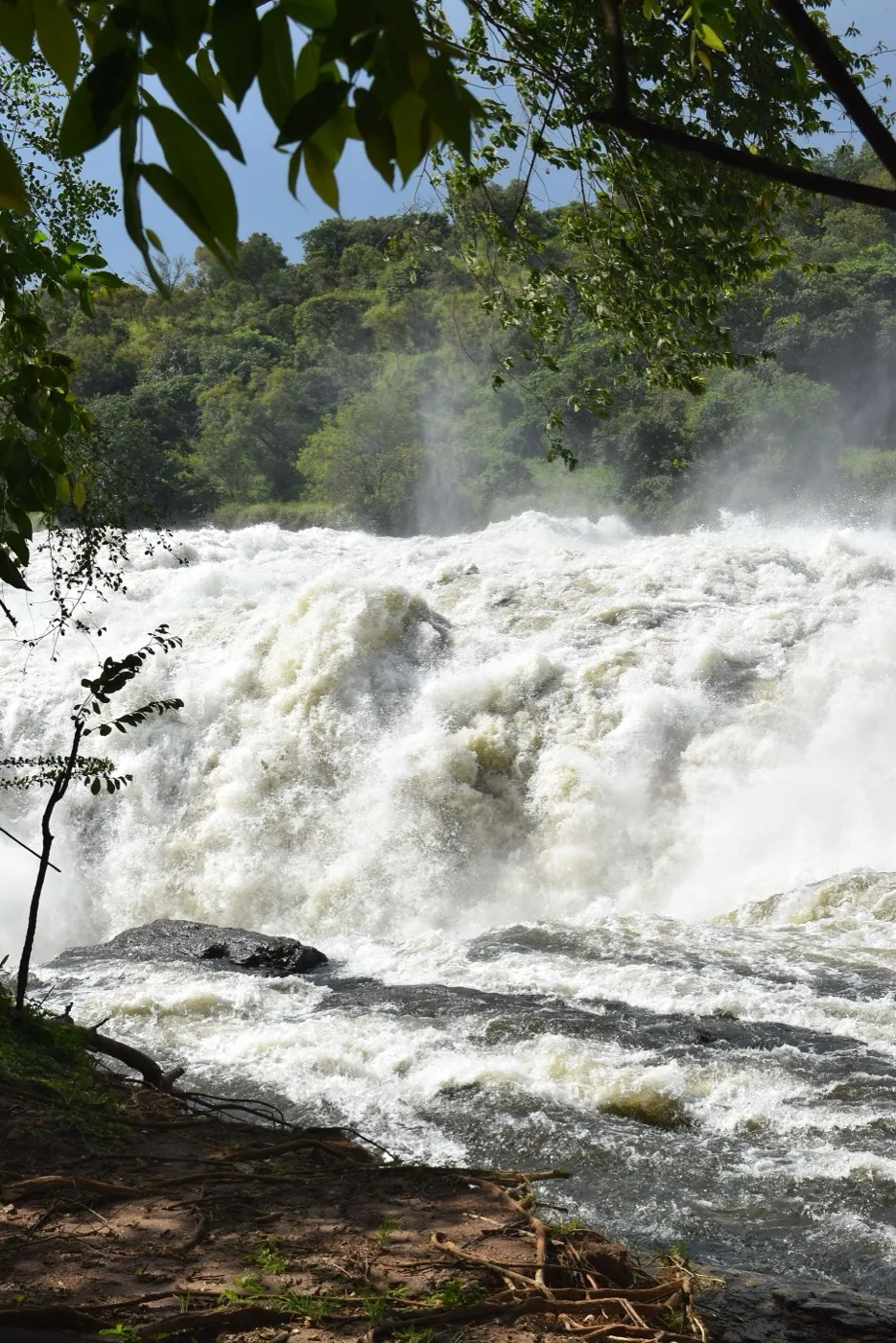 Murchison Falls thundering through the narrow Victoria Nile gorge